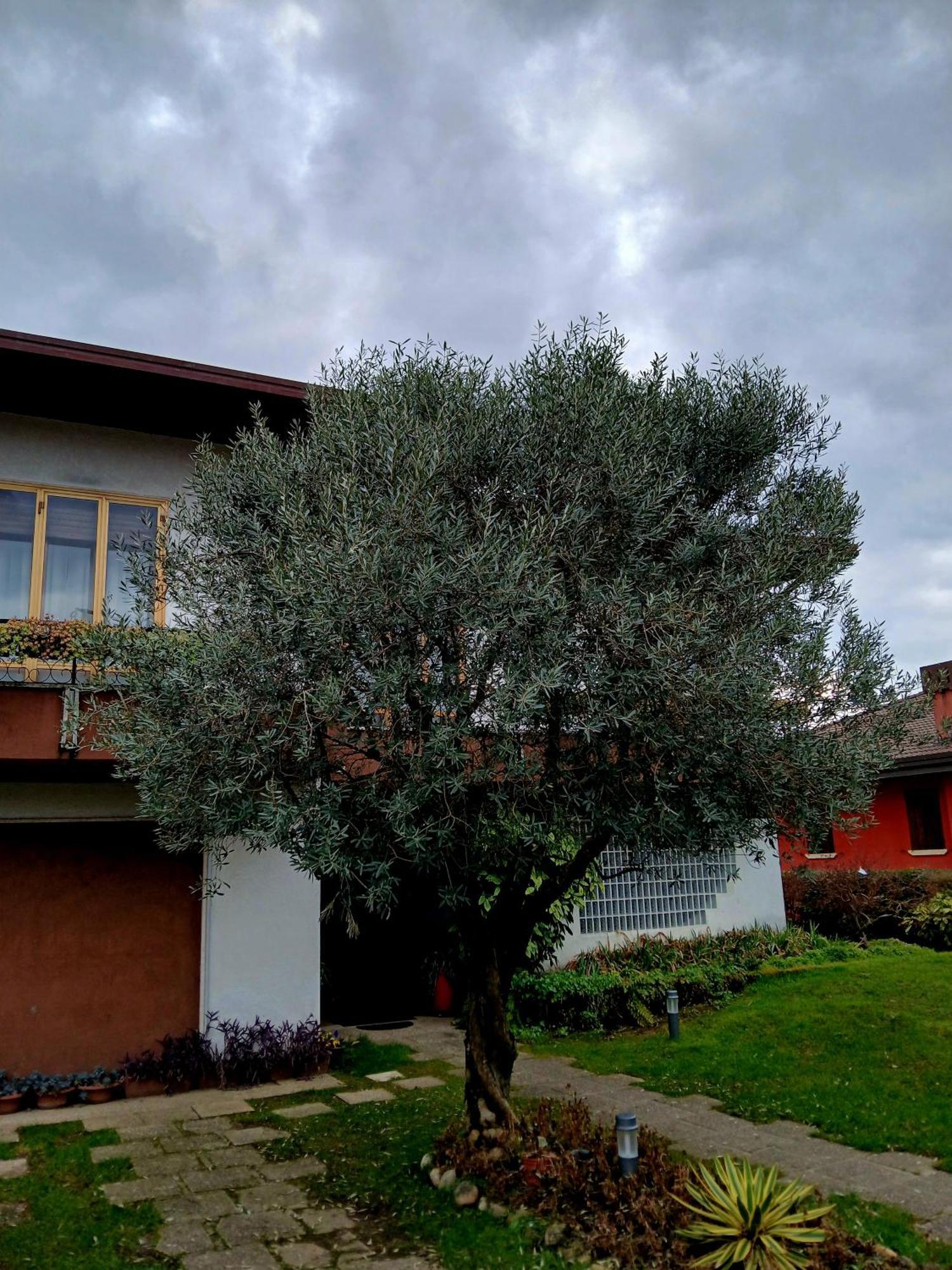 B&B Ponte Marchese 卡尔杜格诺 外观 照片