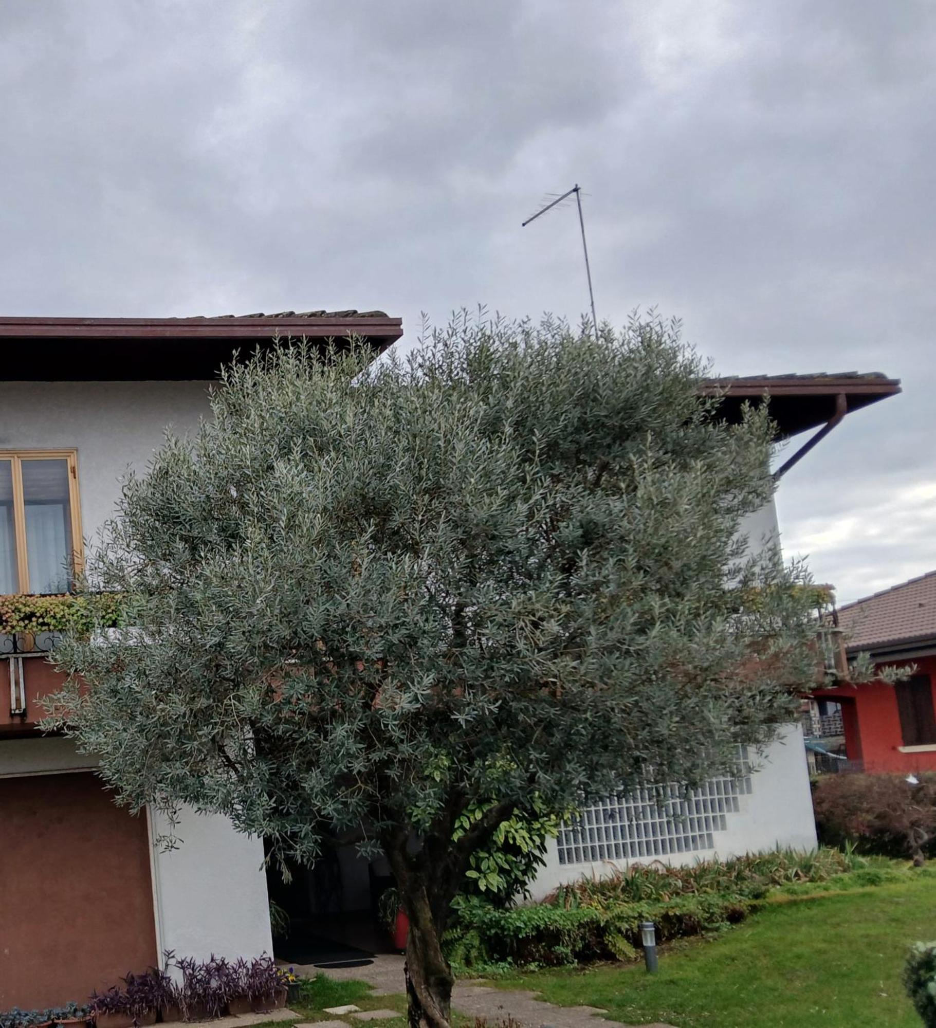 B&B Ponte Marchese 卡尔杜格诺 外观 照片